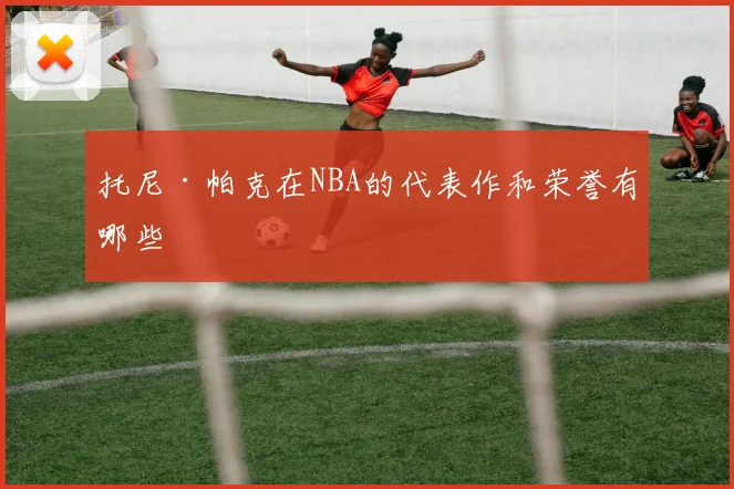 托尼·帕克在NBA的代表作和荣誉有哪些