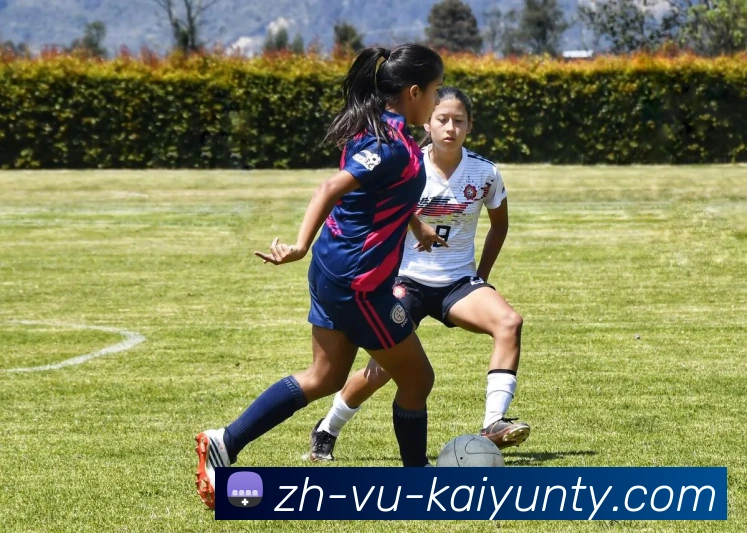 ky开云品牌故事