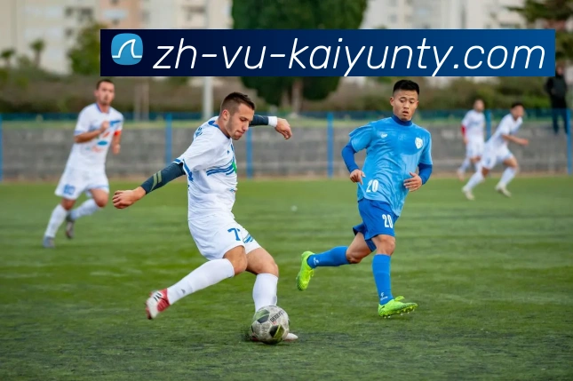 ky开云服务体系