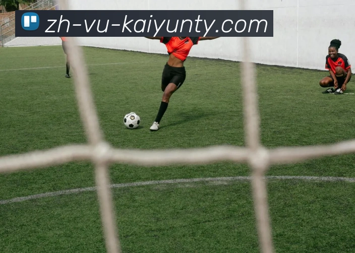 ky开云APP 体育赛事宣传图